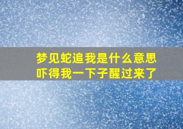 梦见蛇追我是什么意思吓得我一下子醒过来了