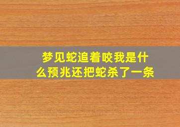 梦见蛇追着咬我是什么预兆还把蛇杀了一条