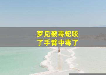 梦见被毒蛇咬了手臂中毒了