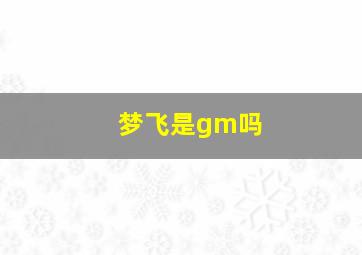 梦飞是gm吗