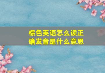 棕色英语怎么读正确发音是什么意思