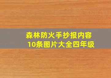 森林防火手抄报内容10条图片大全四年级