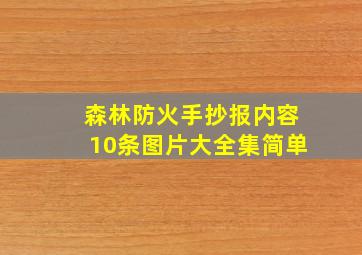 森林防火手抄报内容10条图片大全集简单