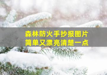 森林防火手抄报图片简单又漂亮清楚一点