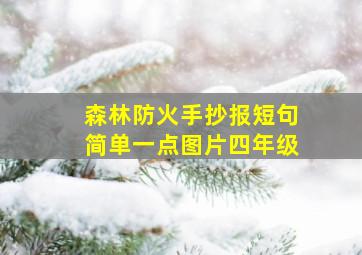 森林防火手抄报短句简单一点图片四年级