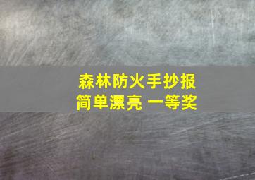 森林防火手抄报简单漂亮 一等奖