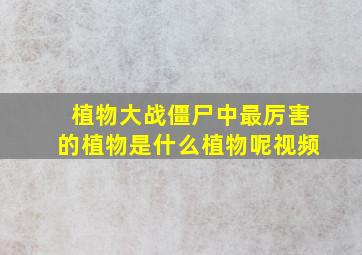 植物大战僵尸中最厉害的植物是什么植物呢视频