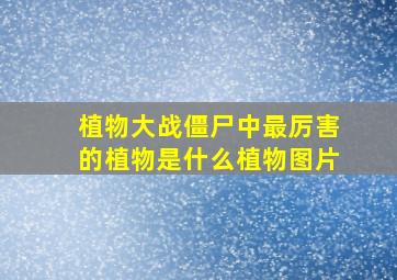 植物大战僵尸中最厉害的植物是什么植物图片