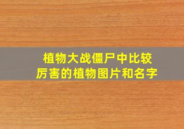 植物大战僵尸中比较厉害的植物图片和名字