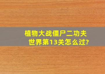 植物大战僵尸二功夫世界第13关怎么过?