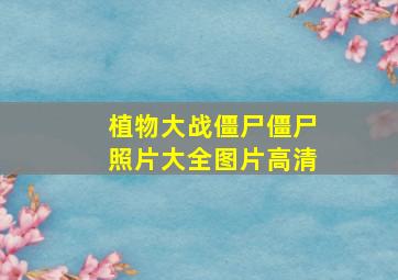 植物大战僵尸僵尸照片大全图片高清