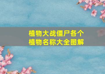 植物大战僵尸各个植物名称大全图解