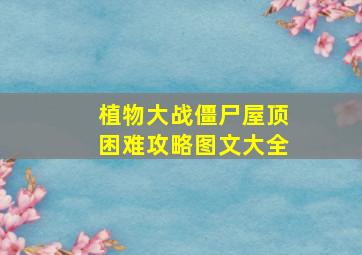 植物大战僵尸屋顶困难攻略图文大全