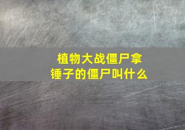 植物大战僵尸拿锤子的僵尸叫什么