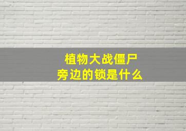 植物大战僵尸旁边的锁是什么