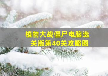 植物大战僵尸电脑选关版第40关攻略图