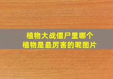 植物大战僵尸里哪个植物是最厉害的呢图片