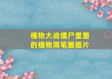 植物大战僵尸里面的植物简笔画图片