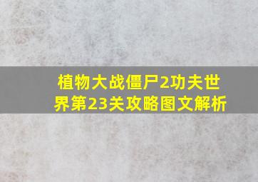 植物大战僵尸2功夫世界第23关攻略图文解析