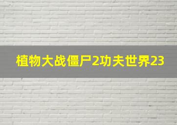 植物大战僵尸2功夫世界23