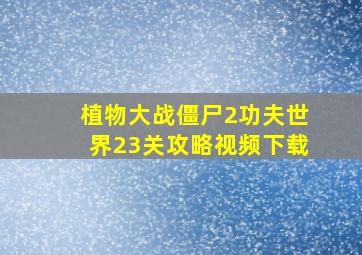 植物大战僵尸2功夫世界23关攻略视频下载