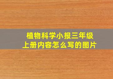 植物科学小报三年级上册内容怎么写的图片