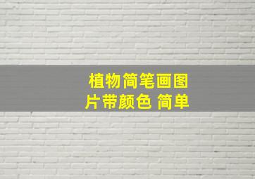 植物简笔画图片带颜色 简单