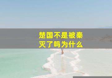 楚国不是被秦灭了吗为什么