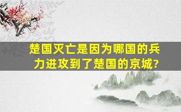 楚国灭亡是因为哪国的兵力进攻到了楚国的京城?