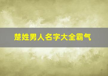 楚姓男人名字大全霸气