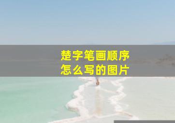 楚字笔画顺序怎么写的图片