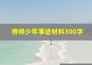 榜样少年事迹材料300字