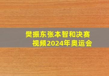 樊振东张本智和决赛视频2024年奥运会