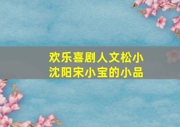 欢乐喜剧人文松小沈阳宋小宝的小品