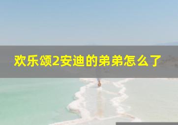 欢乐颂2安迪的弟弟怎么了