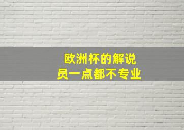 欧洲杯的解说员一点都不专业