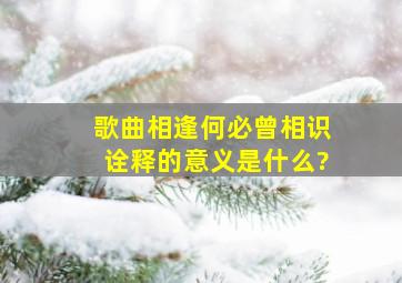 歌曲相逢何必曾相识诠释的意义是什么?