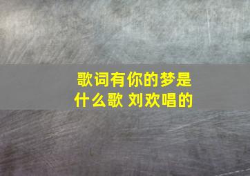 歌词有你的梦是什么歌 刘欢唱的