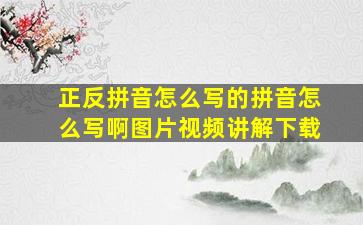 正反拼音怎么写的拼音怎么写啊图片视频讲解下载