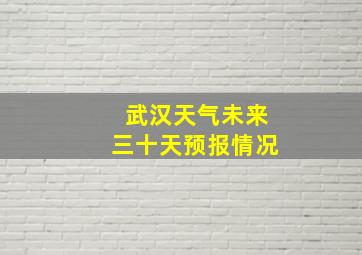 武汉天气未来三十天预报情况