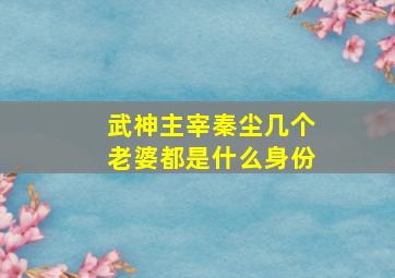 武神主宰秦尘几个老婆都是什么身份