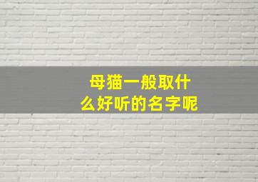 母猫一般取什么好听的名字呢