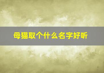 母猫取个什么名字好听