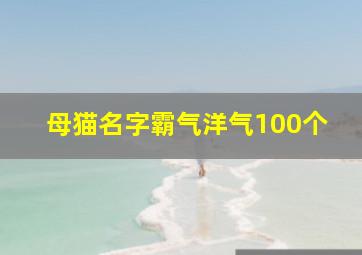 母猫名字霸气洋气100个