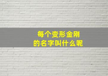 每个变形金刚的名字叫什么呢