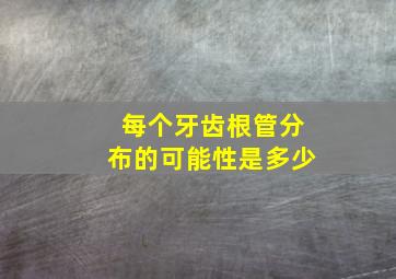 每个牙齿根管分布的可能性是多少