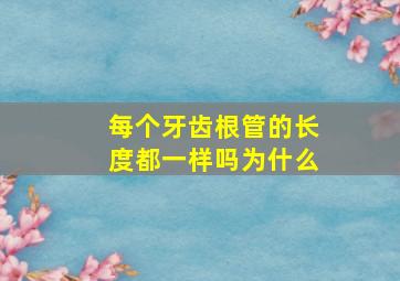 每个牙齿根管的长度都一样吗为什么