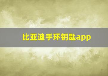 比亚迪手环钥匙app