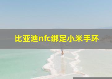 比亚迪nfc绑定小米手环