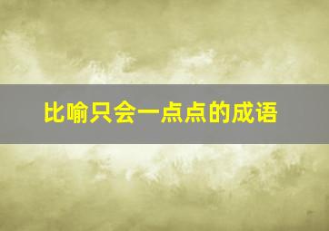 比喻只会一点点的成语